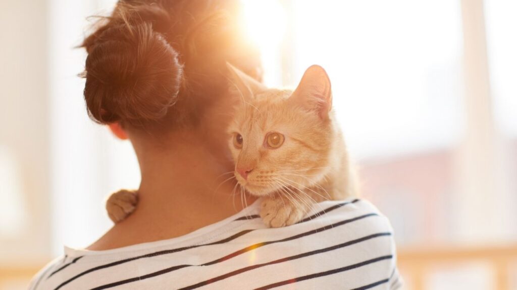 woman holding orange cat