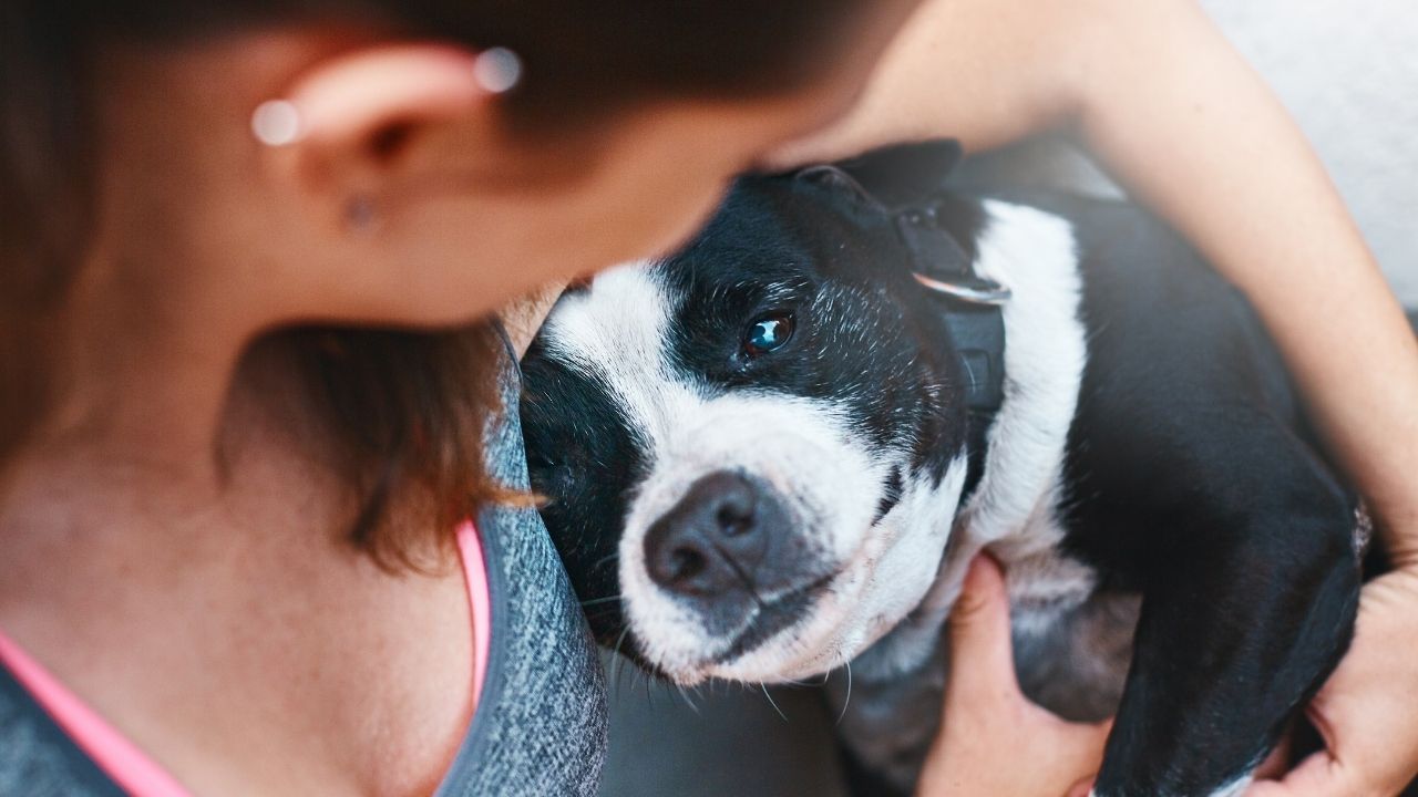 smiling woman with dog