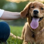 sitting with emotional support doggie