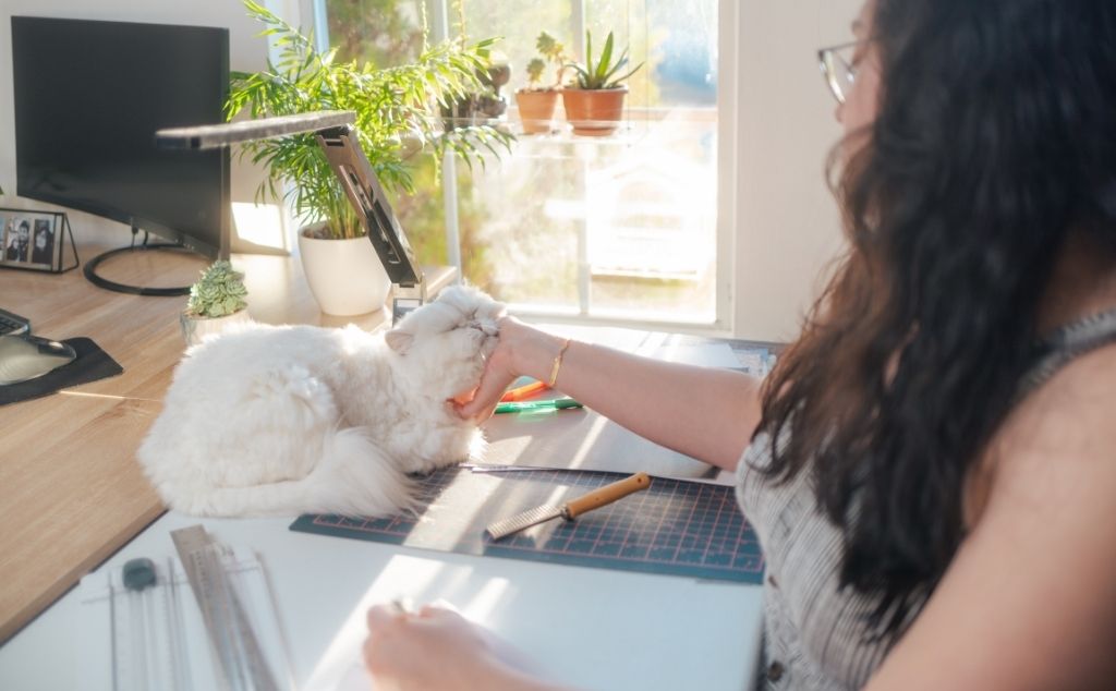 woman petting emotional support cat