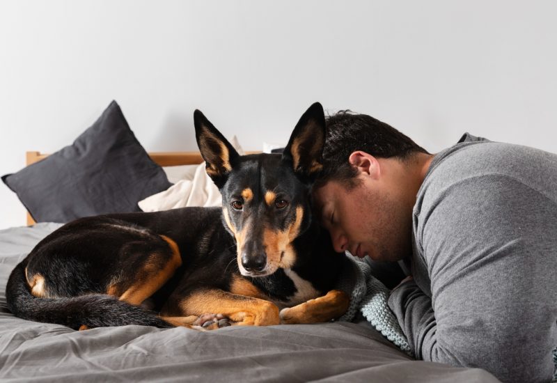 man and adorable dog indoors