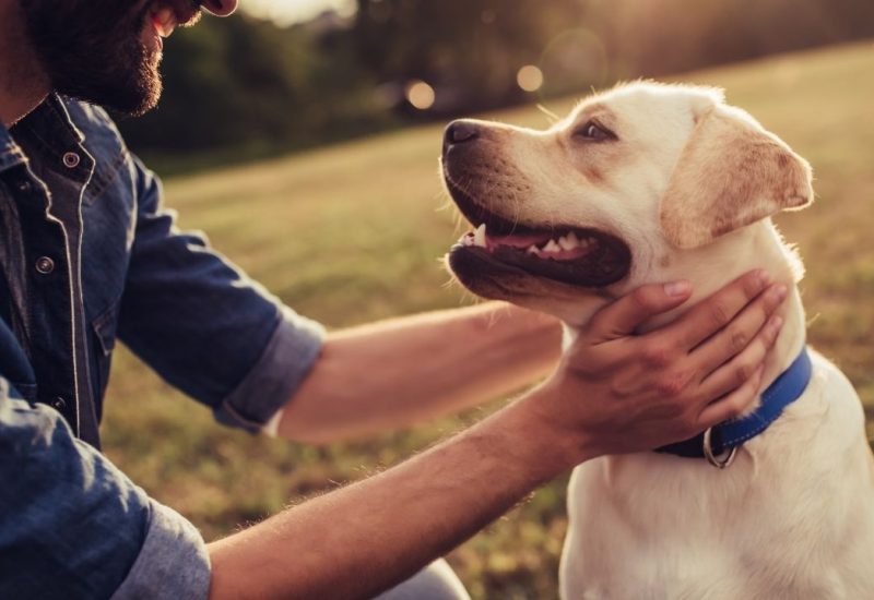 esa dog and male owner