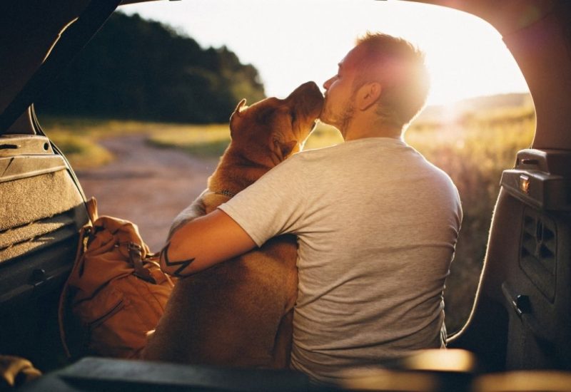 esa dog kissing male owner