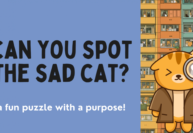 sad-cat-puzzle
