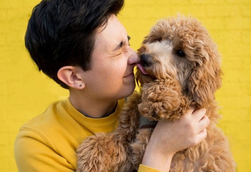 woman with emotional support doggie