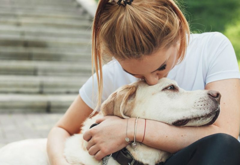 woman with labrador retriever emotional support animal